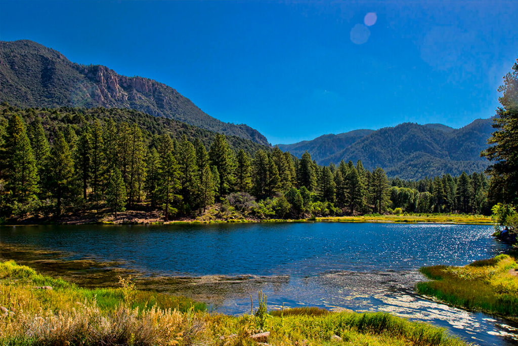 Adriana González El Latido del Corazón Viaje Libertad