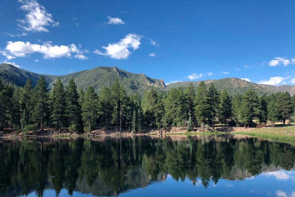Adriana González El Latido del Corazón Viaje Libertad