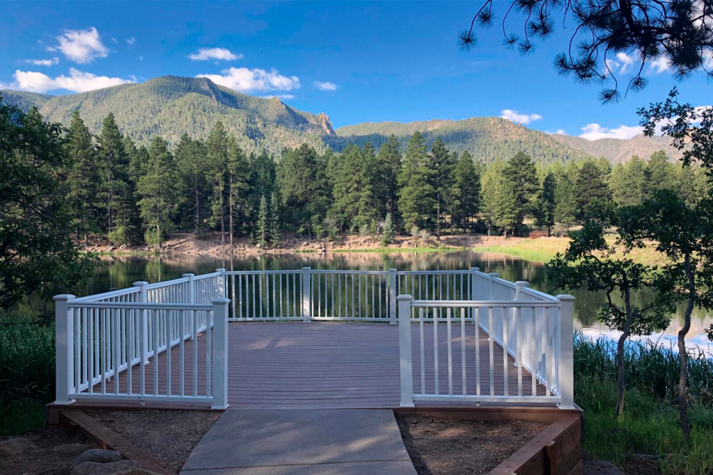 Adriana González El Latido del Corazón Viaje Libertad