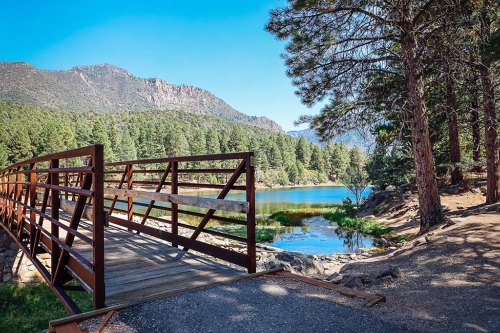Adriana González El Latido del Corazón Viaje Libertad