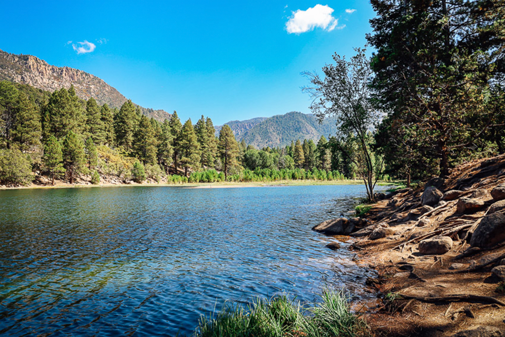 Adriana González El Latido del Corazón Viaje Libertad